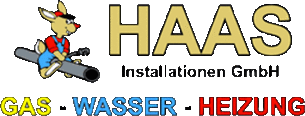csm_Haas-logo_home_3019fc5e67
